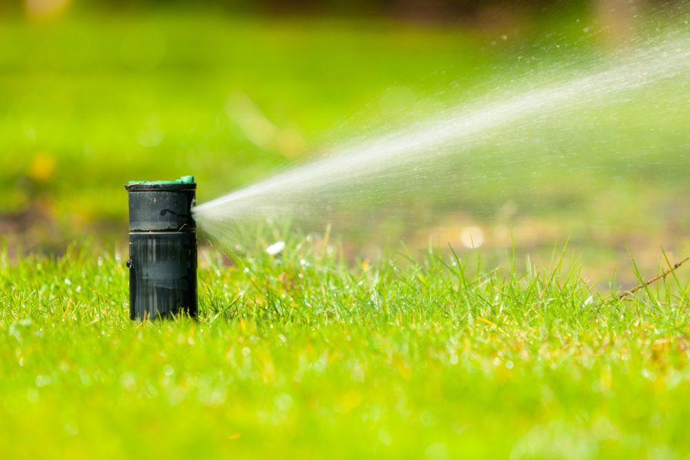 impianti di irrigazione per giardini