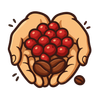 Hands holding red coffee cherries and two brown coffee beans.