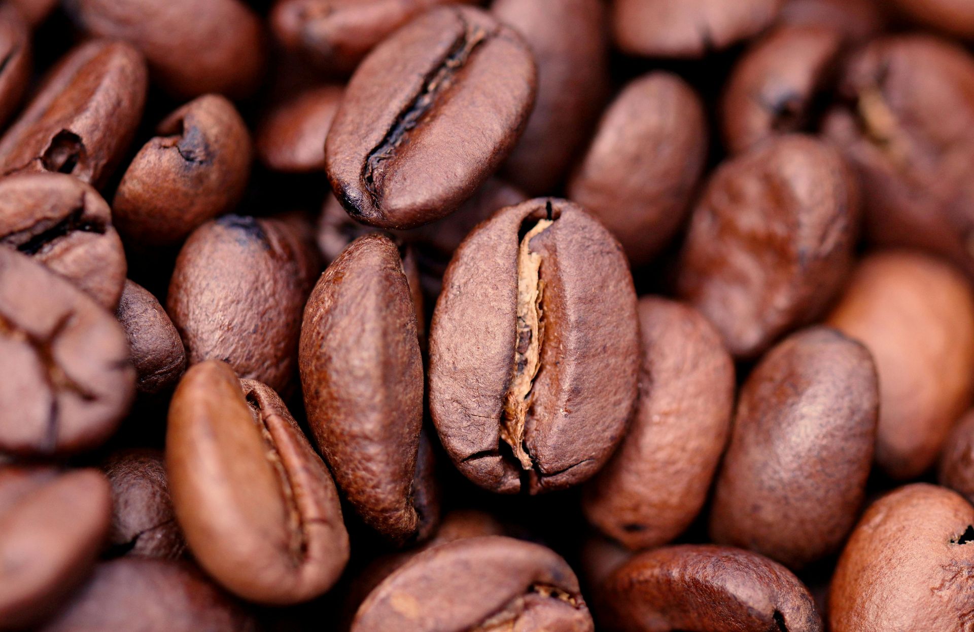Close-up of roasted coffee beans, various shades of brown.