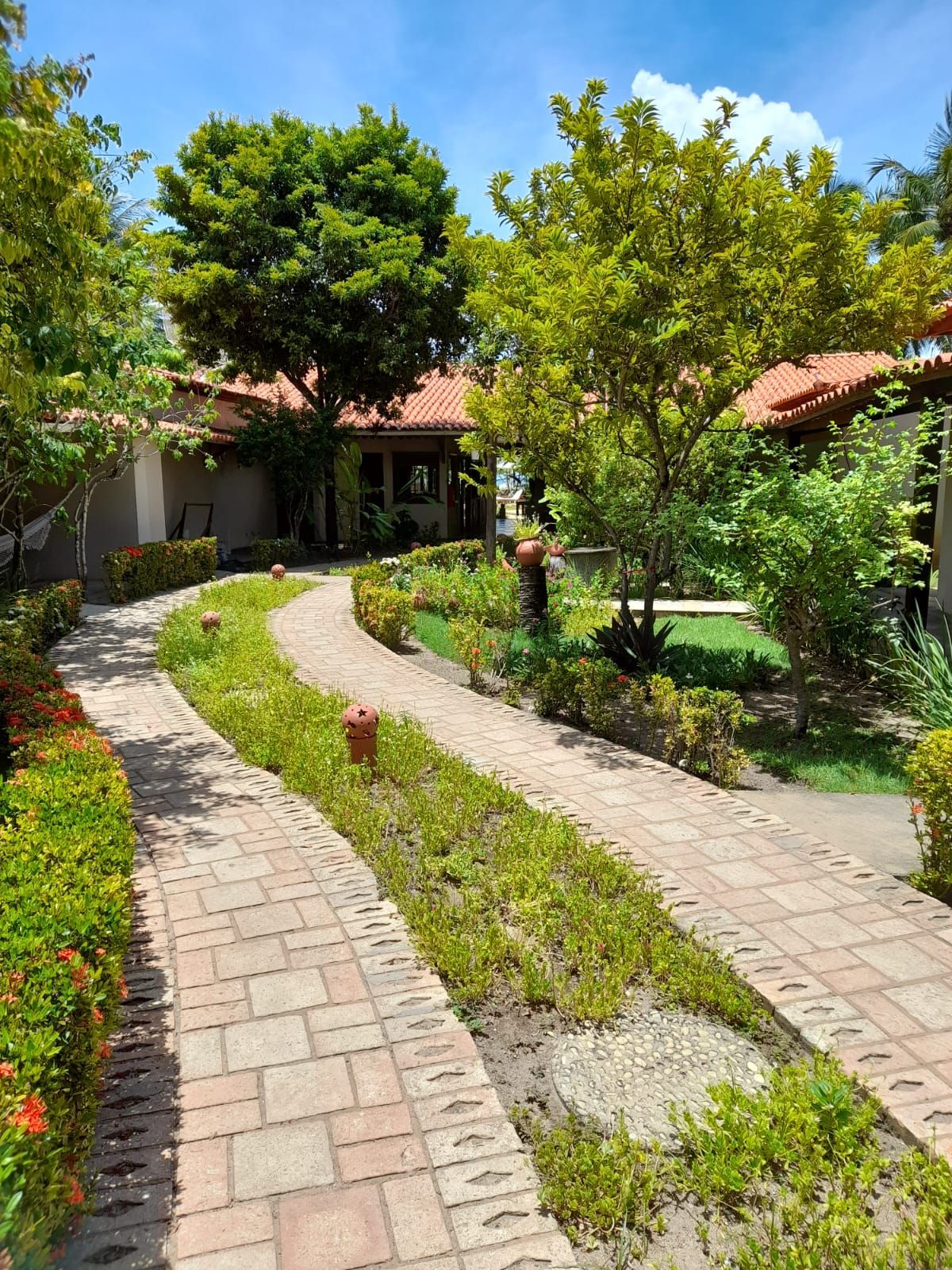 Uma passarela de tijolos que leva a uma casa cercada por árvores e arbustos