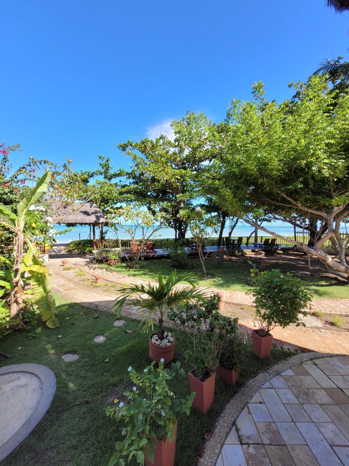 Um jardim com muitas plantas em vasos e árvores em um dia ensolarado