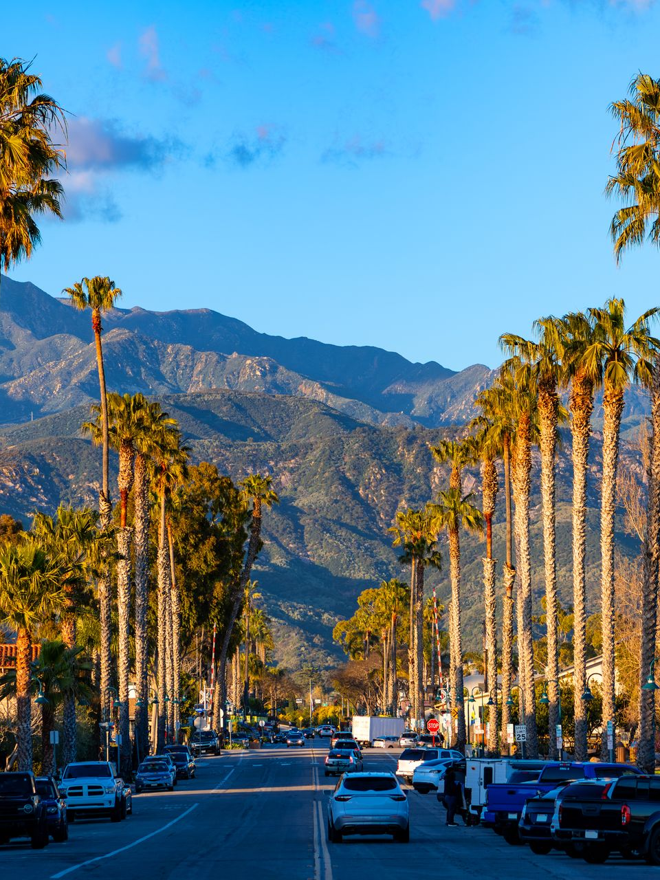 Street lined with tall palm trees, cars, and mountains in the background under a blue sky.