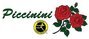 FIORISTA PICCININI - LOGO