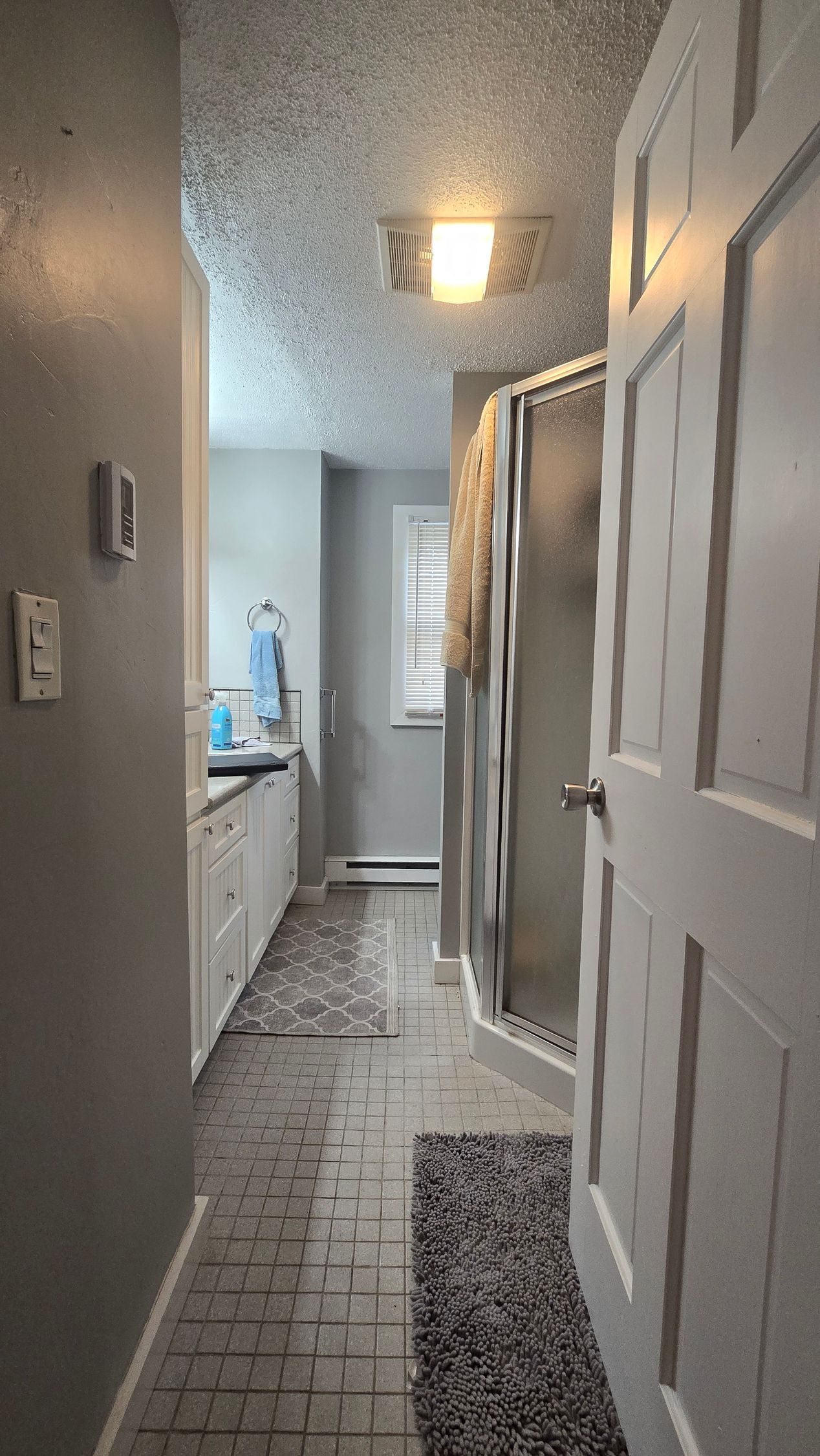 Bathroom remodel in Ashford, CT the before renovation interior with gray walls, white door, shower, and narrow rug.