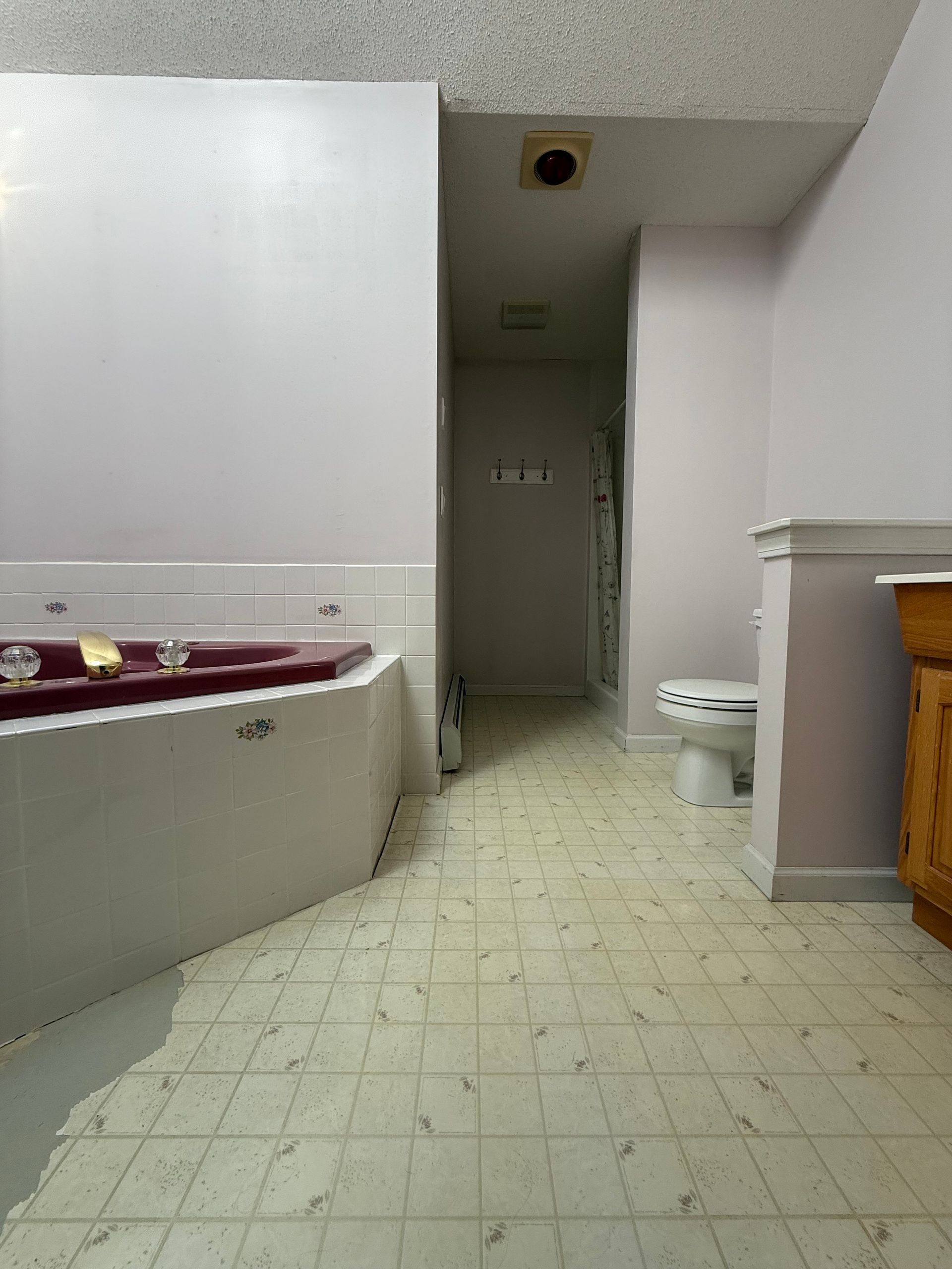 A bathroom with a jacuzzi tub and a toilet
