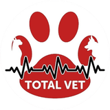 Perro y gato de dibujos animados, sentados juntos, logotipo verde de Animal Planet, tema veterinario.