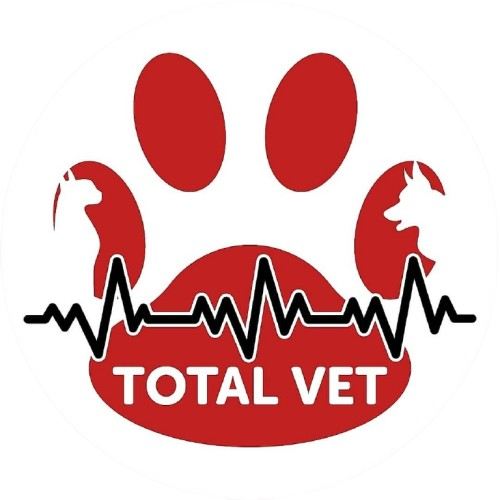 Caricatura de perro y gato, con el logo de Animal Planet y la palabra