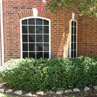 A brick house with two windows and a bush in front of it.