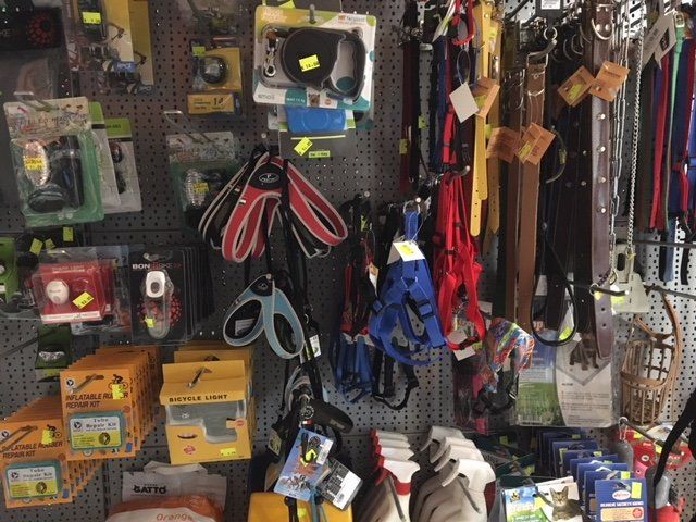 collari e guinzagli per animali