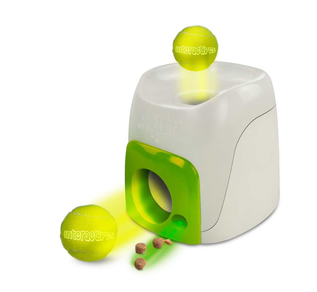 AFP Interactives Fetch'N'Treat Original