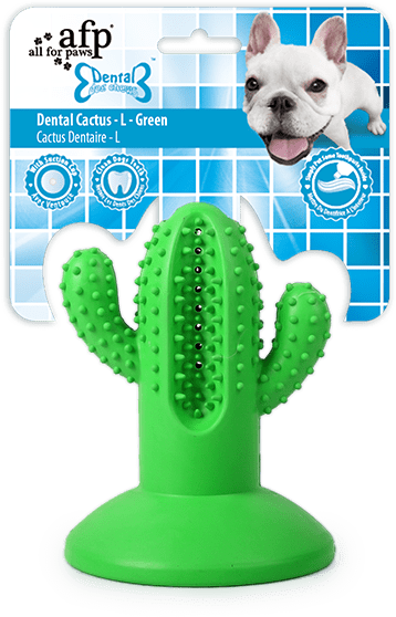 AFP Dental Chews - Dental Cactus L Groen