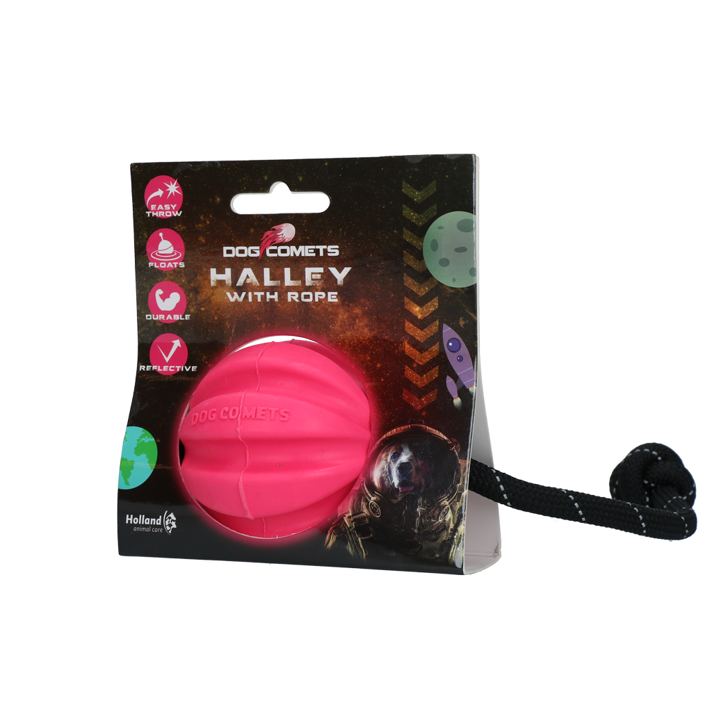 Dog Comets Halley Met Touw Roze