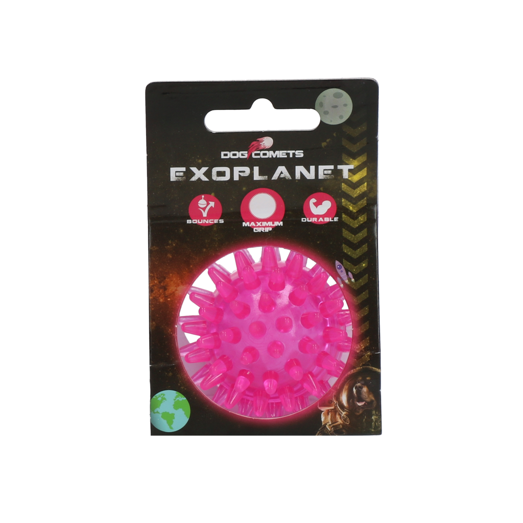 Dog Comets Exoplanet Egelbal S Roze