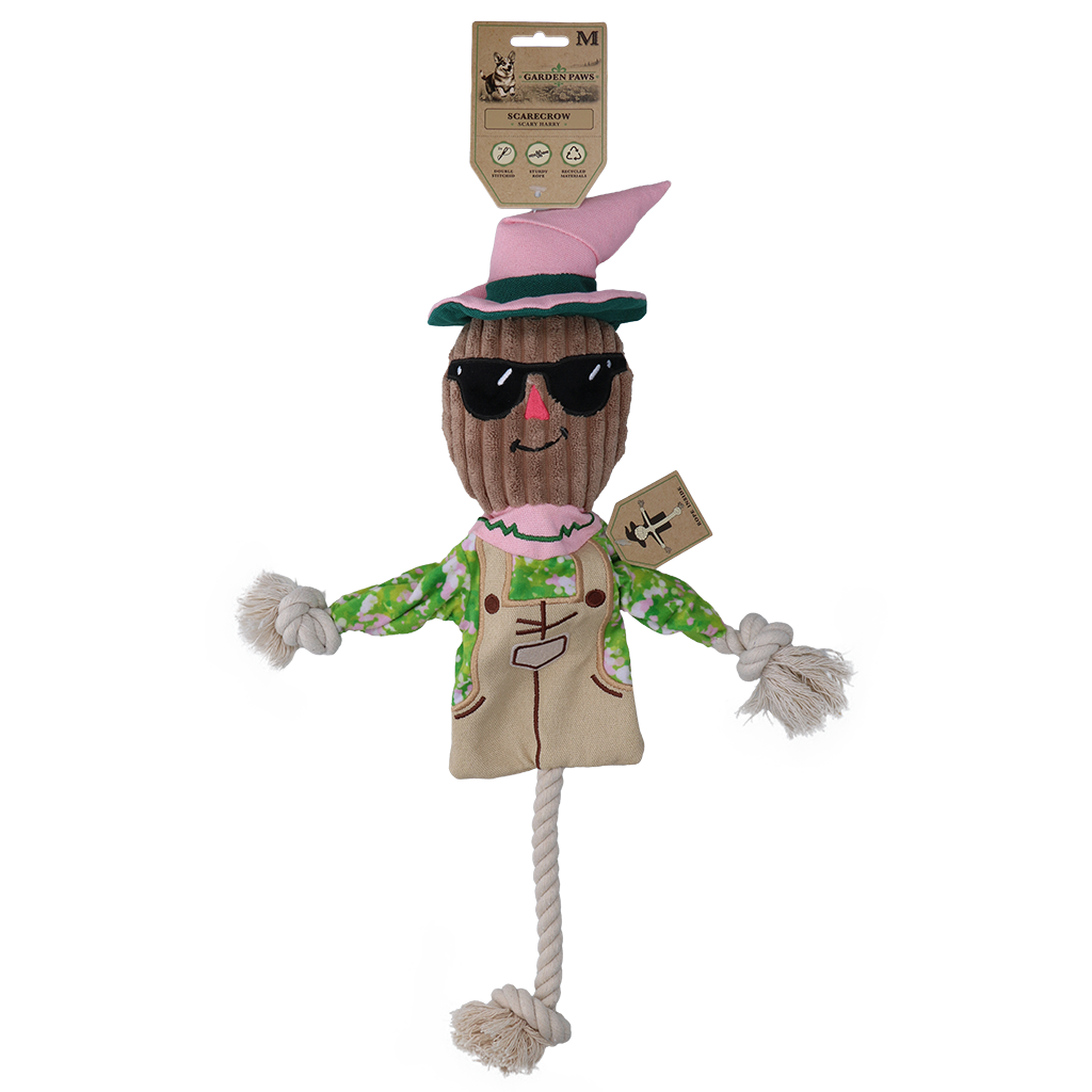 Garden Paws Scarecrow Scary Harry M