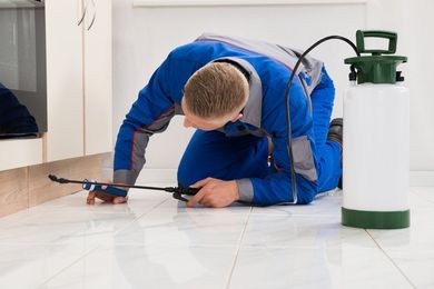 Pest Control in Port Charlotte, FL