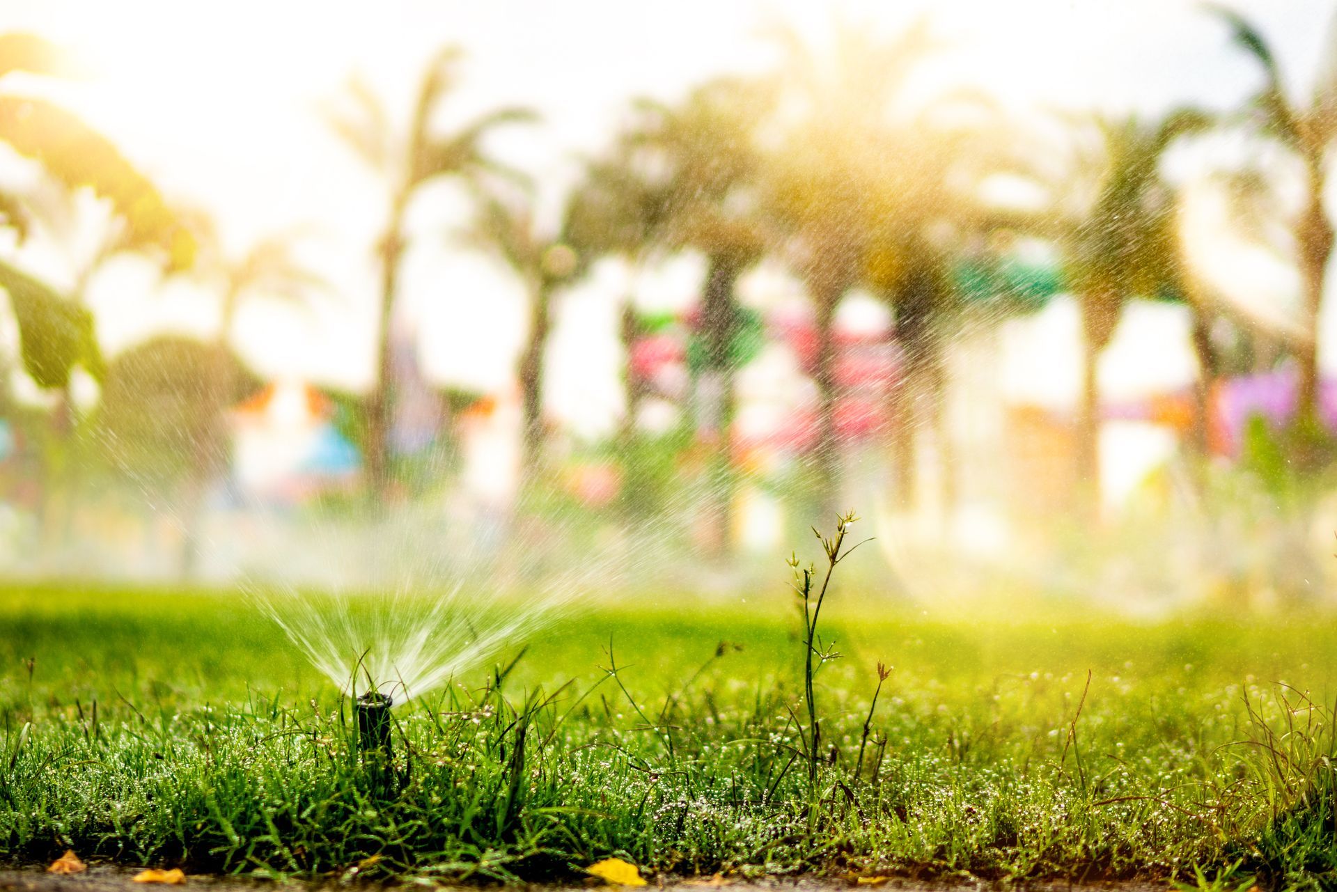 A sprinkler is spraying water on a lush green lawn in a park.