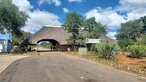 A road leading to a building with a thatched roof.
