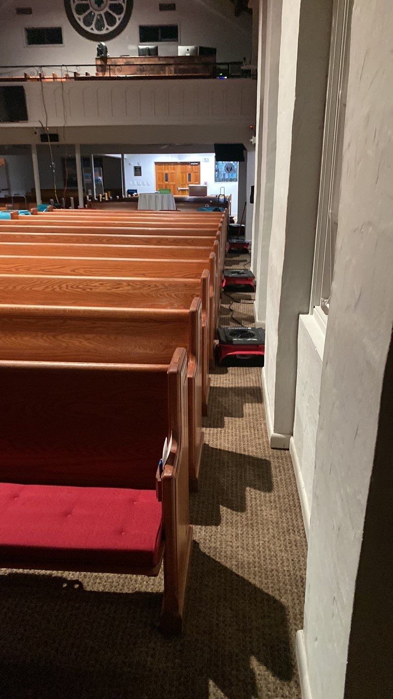 A church with rows of wooden benches and red seats.
