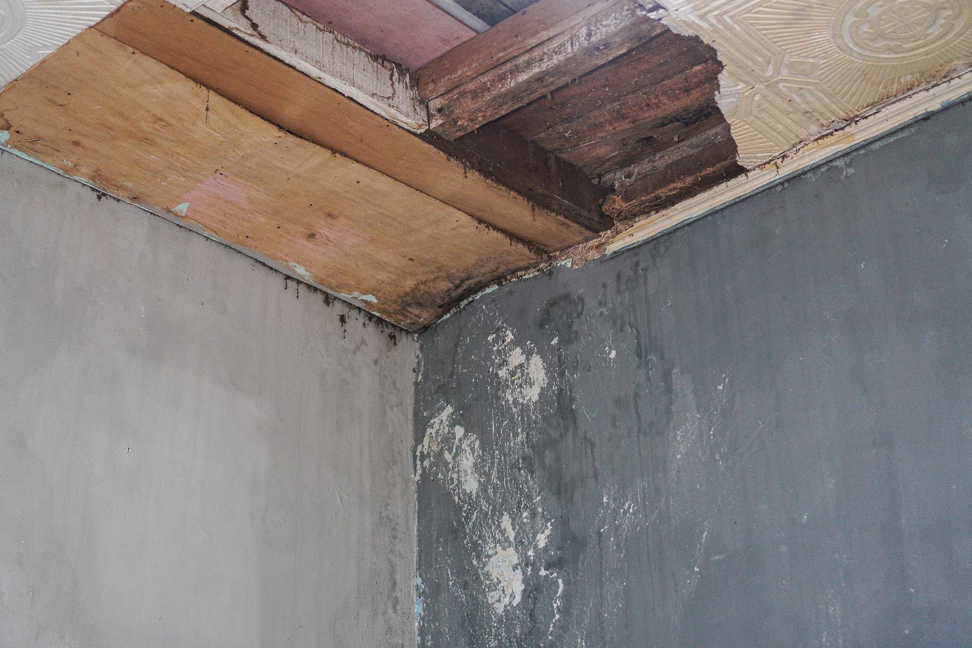 A water-damaged ceiling. A water-damaged ceiling.