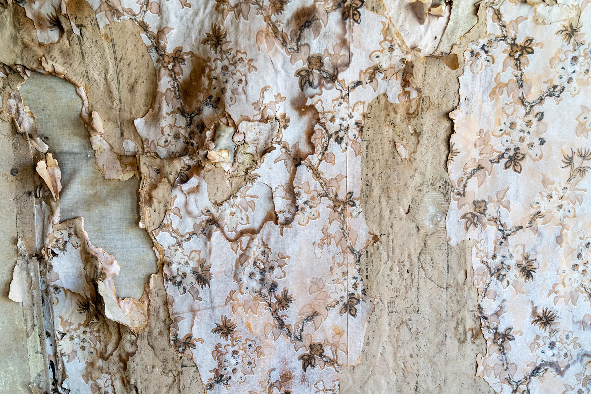 A water-damaged wall. A water-damaged wall.