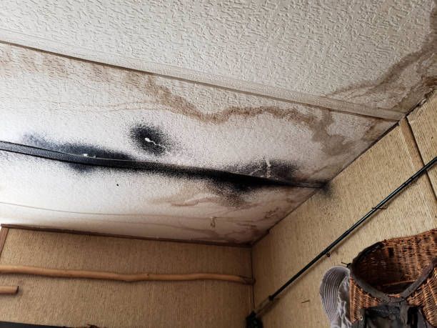 Ceiling mold and water damage with black stains and discoloration in residential room corner.