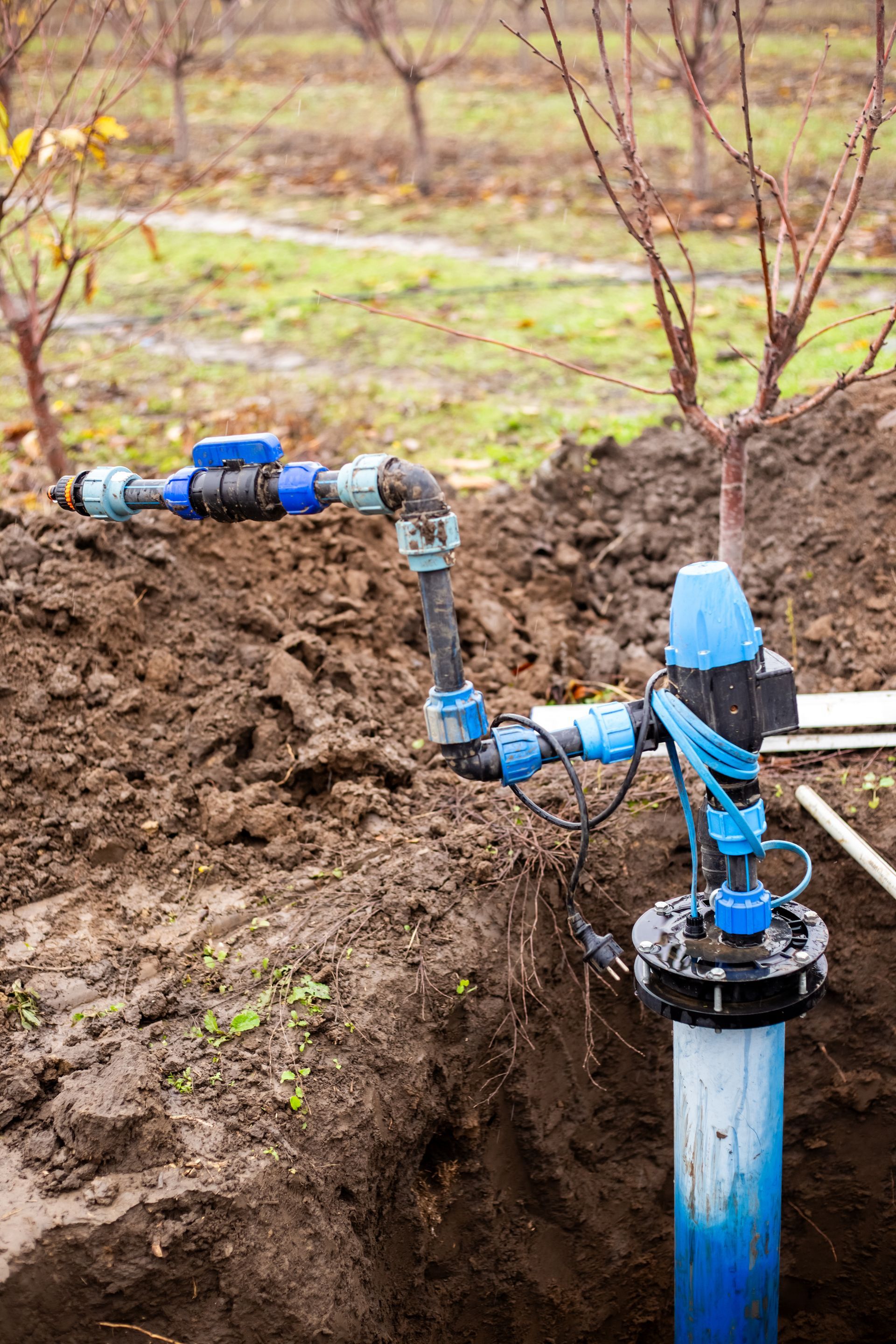 Irrigation system components: blue pipes and valves in a trench, brown soil, trees in background.