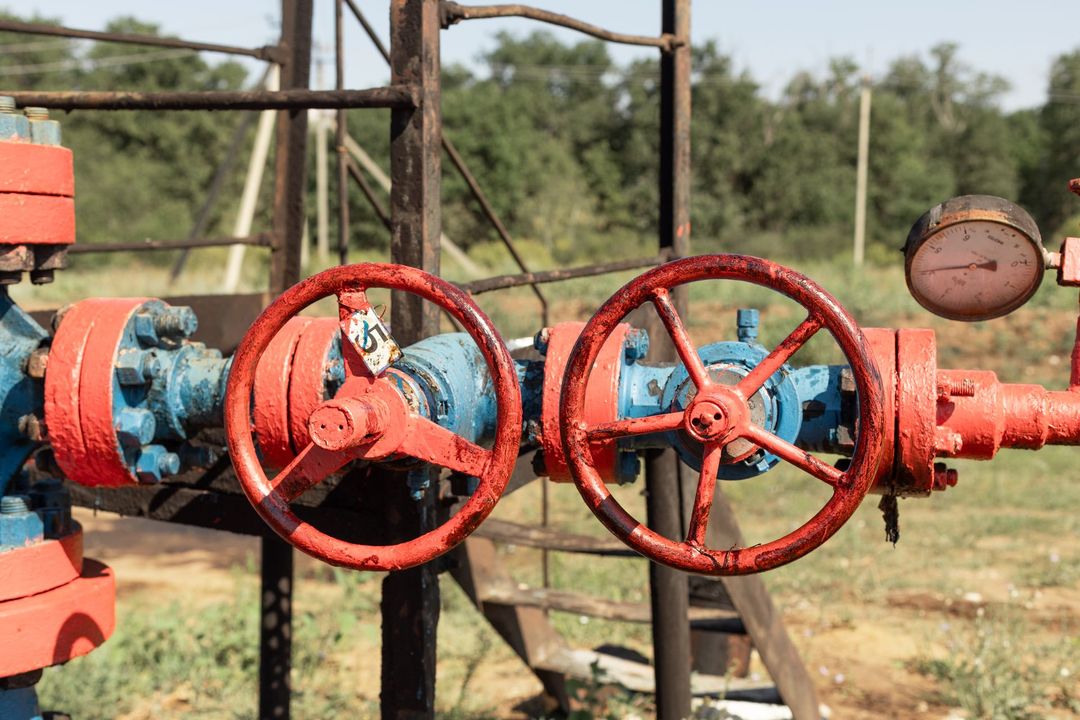 Red valves on a blue industrial pipe, with a gauge, outdoors with green foliage.