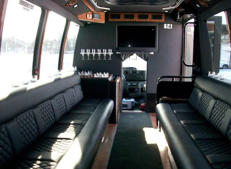 Limo Bus Interior — Bachelorette Party in Troy, NY
