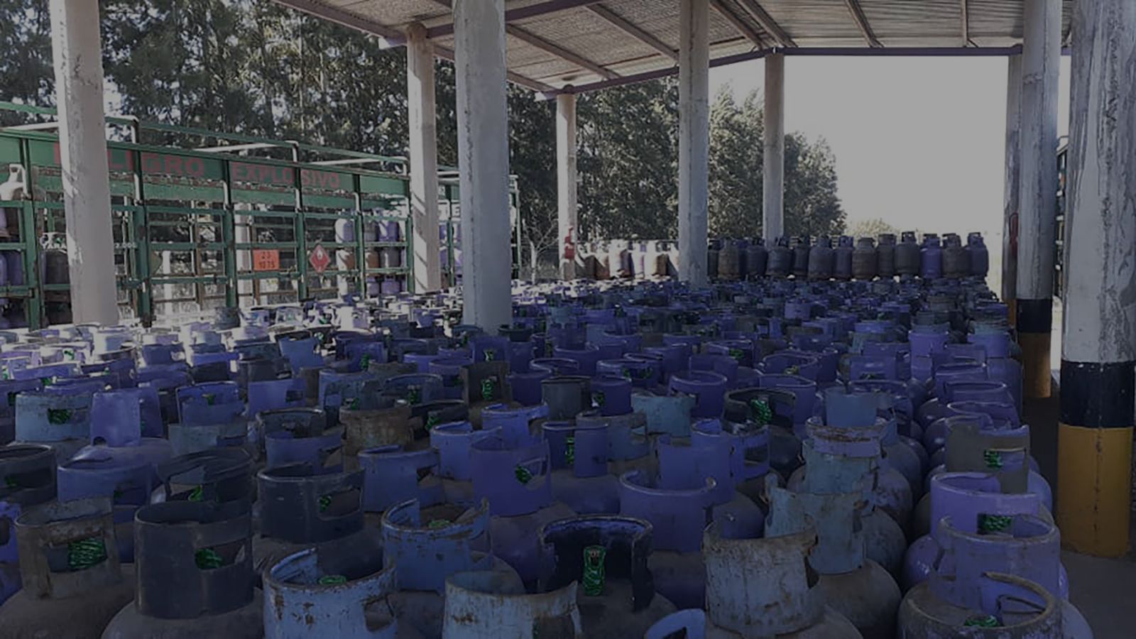 Un gran almacén repleto de filas de bombonas de gas de color púrpura bajo una estructura de hormigón.