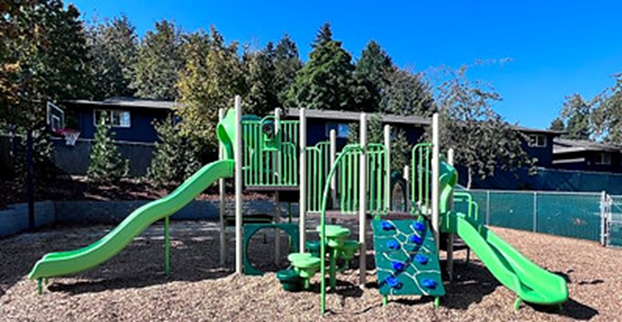 Green Slides — Salem, OR — Park N Play Northwest LLC