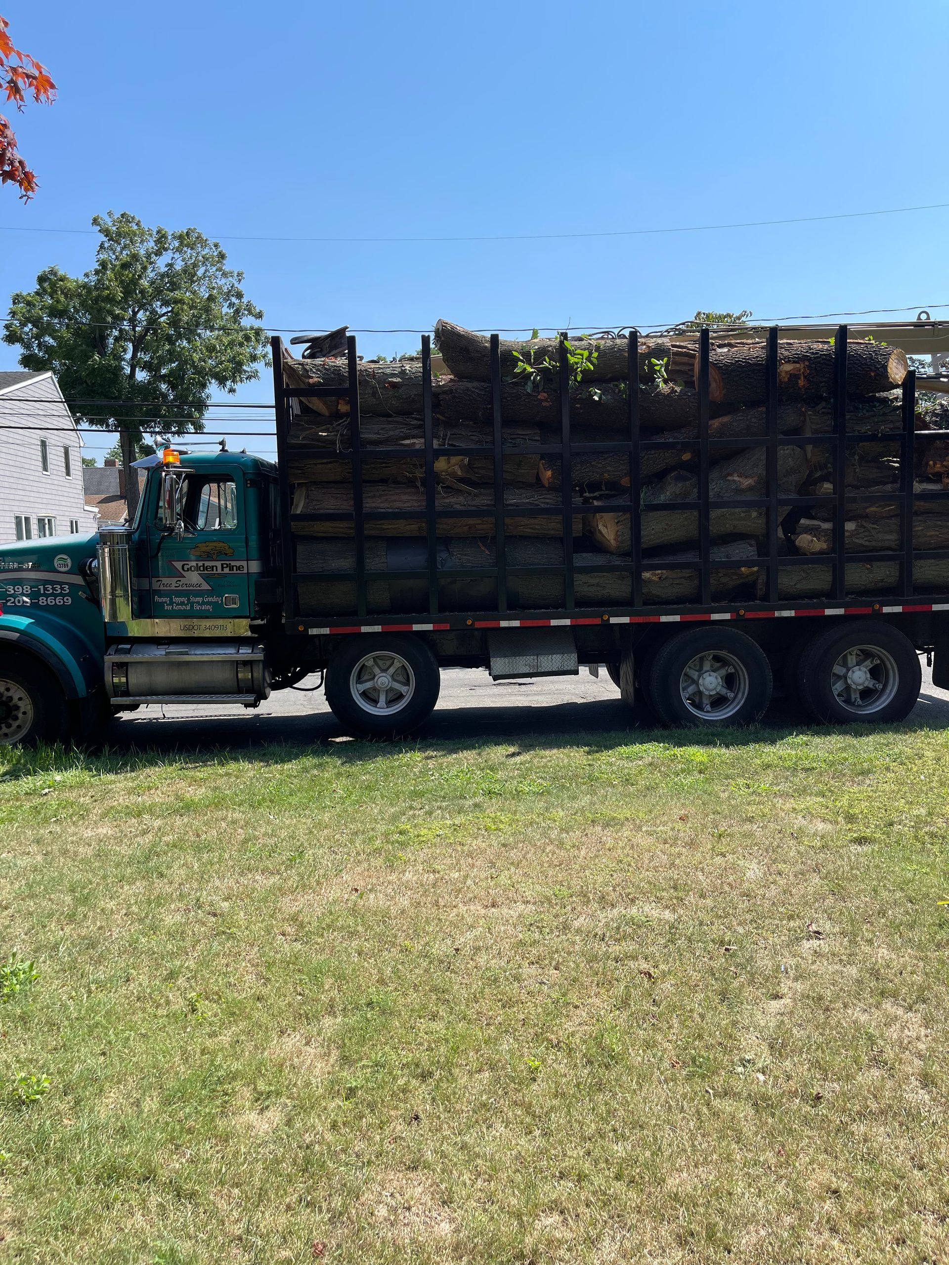 Young Lumberjack — Copiague, NY — Golden Pine Tree Service, Inc.