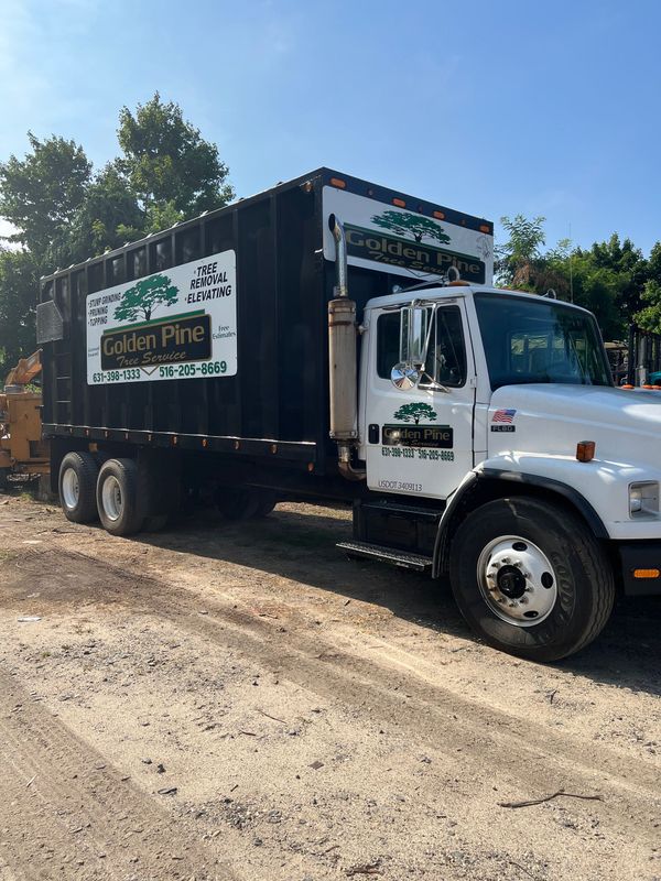 Side View Of The Truck With Contact Details And Logo — Copiague, NY — Golden Pine Tree Service, Inc.