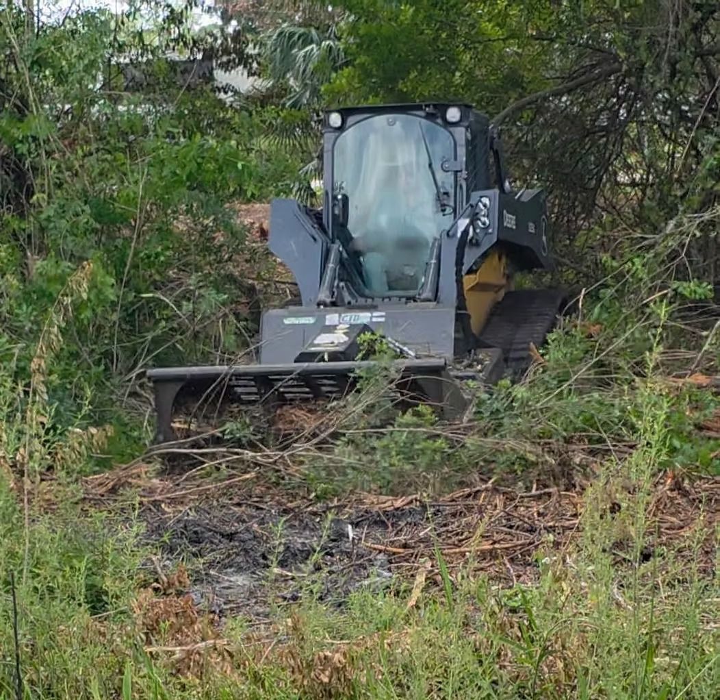 Bulldozer clearing brush in a muddy, overgrown field, viewed through dense trees
