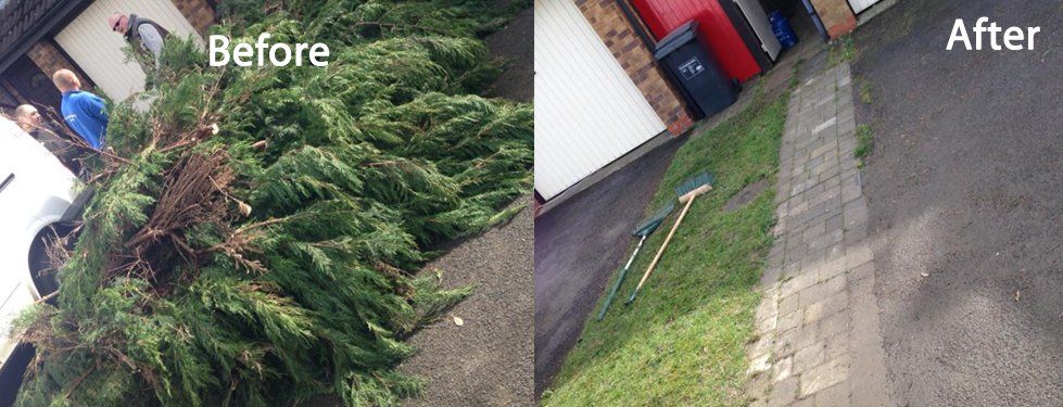 Before and after images