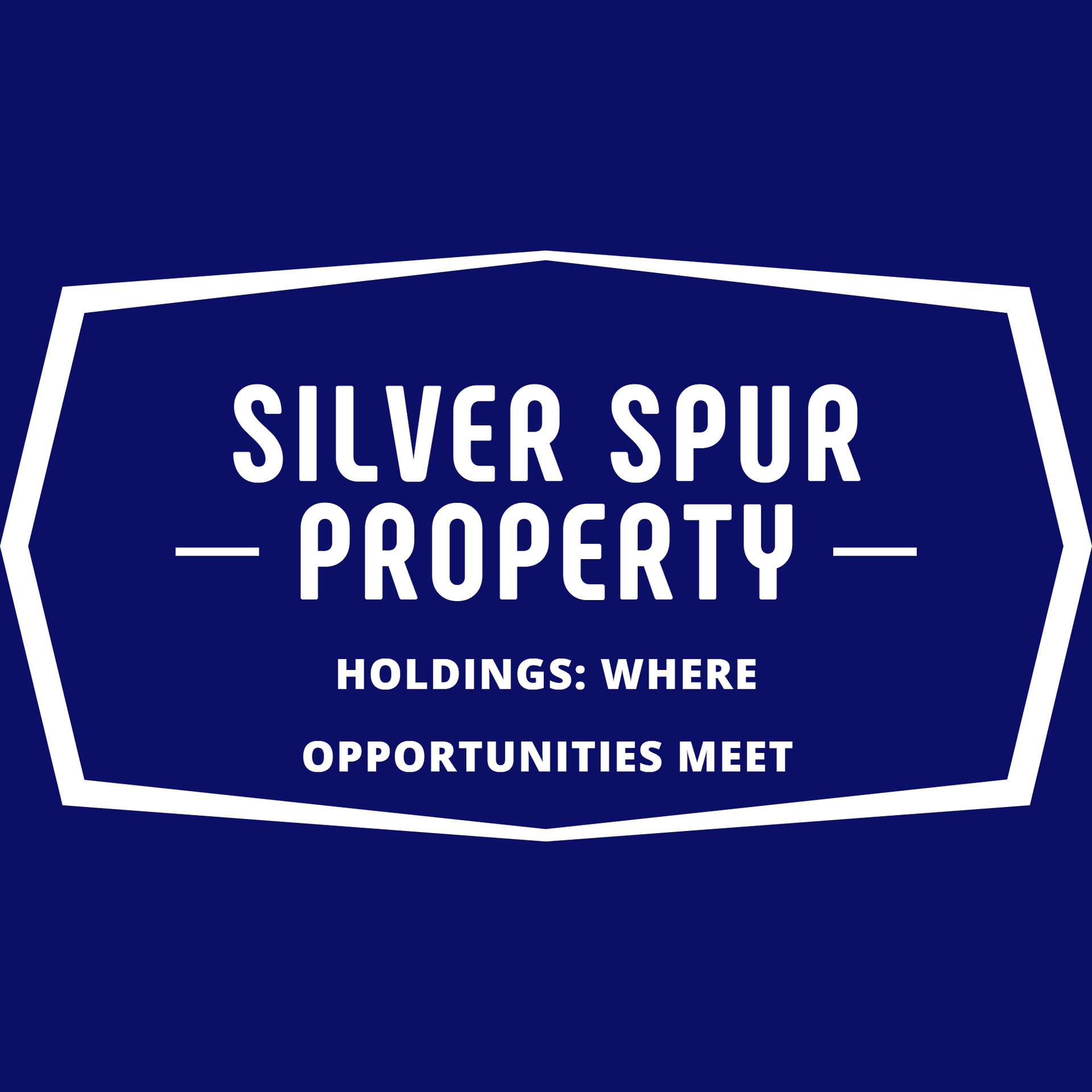 logo-Silver Spur Property Holdings