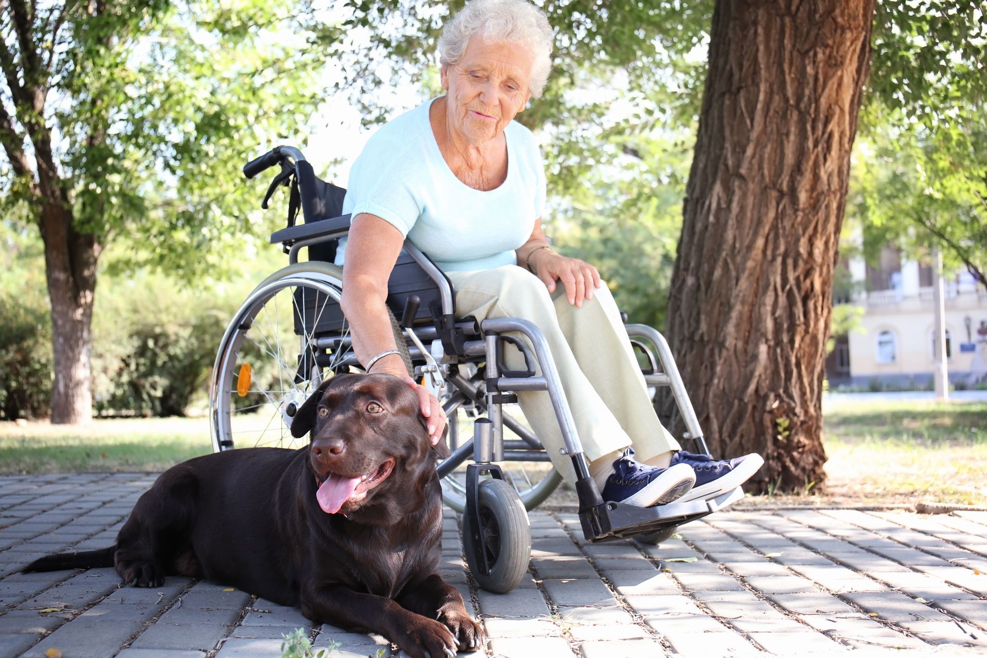 When Seniors Can No Longer Care for their Pets