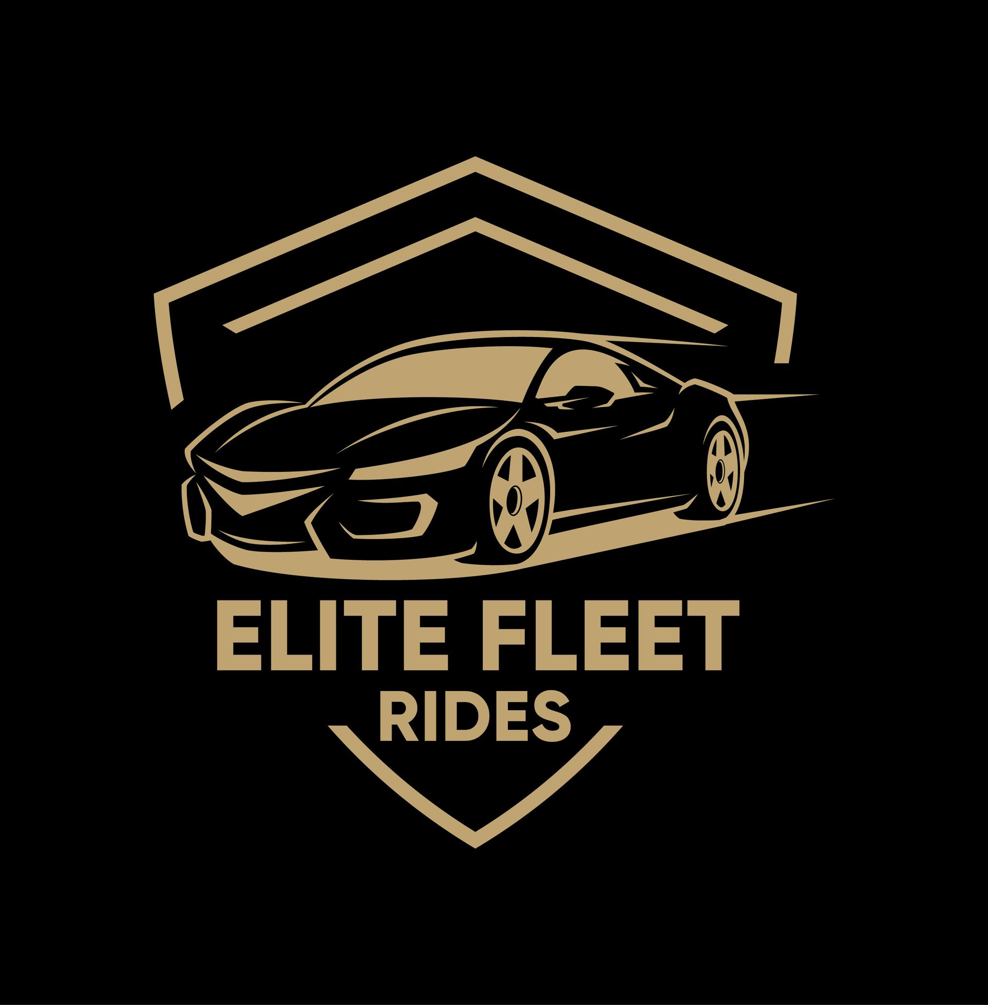 Elite fleet logo
