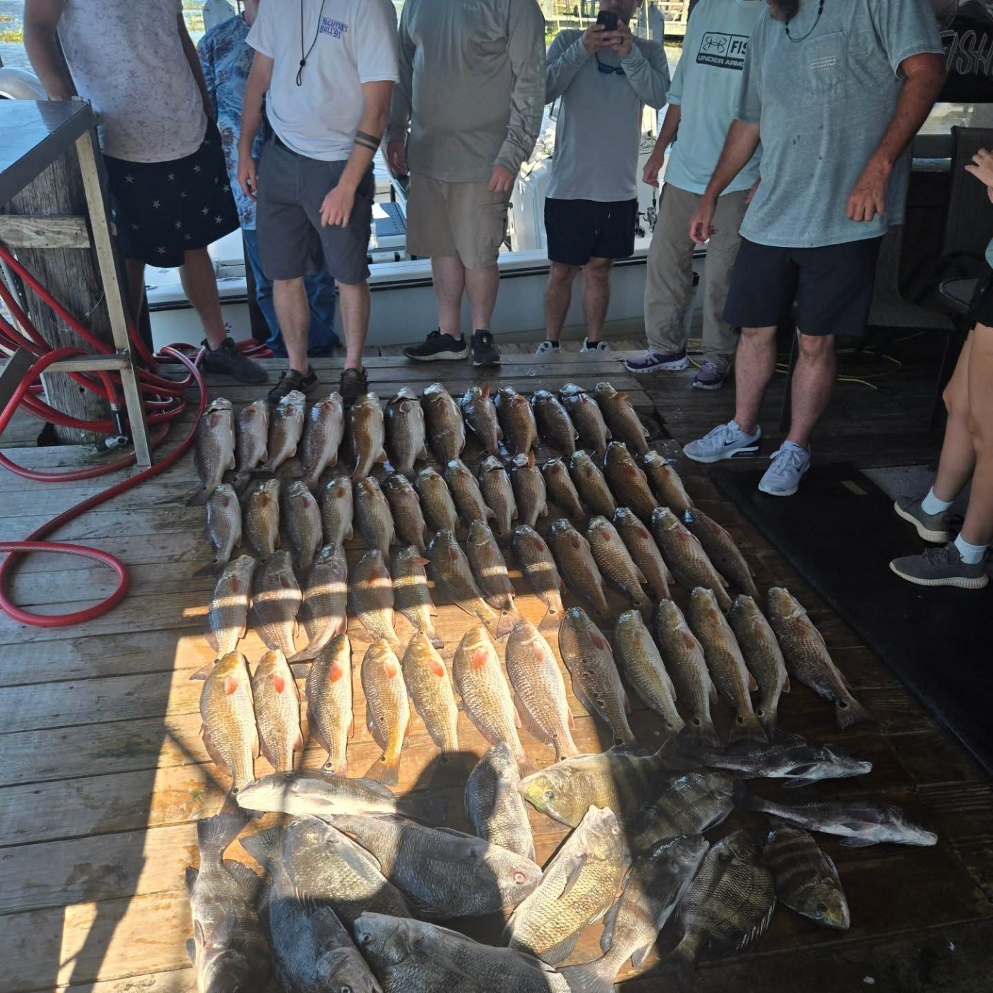 People standing beside rows of freshly caught fish laid out on a dock in bright sunlight