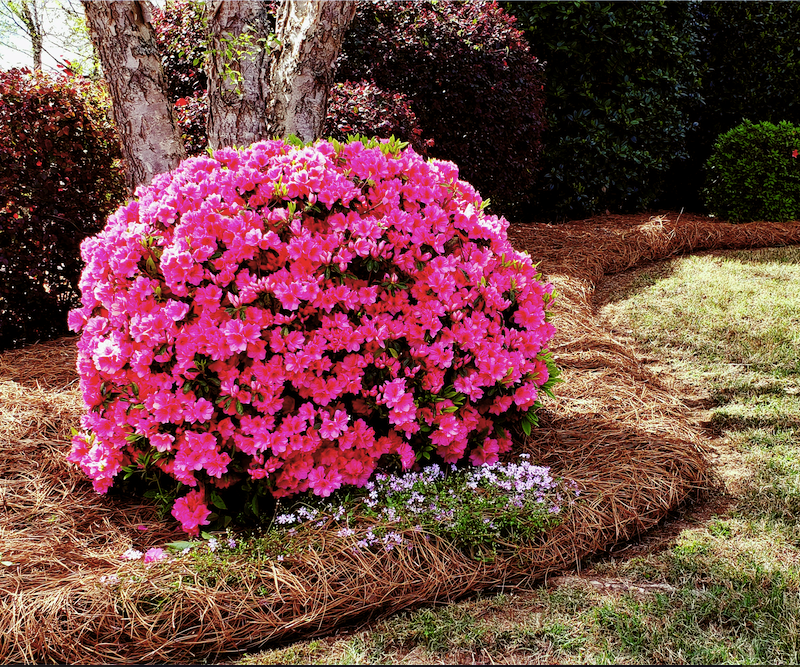 hoover landscaping companies