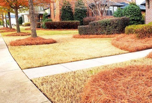 lawn maintenance in hoover alabama