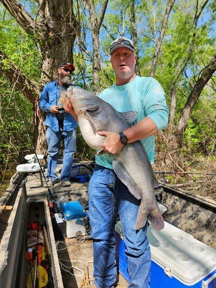 A man is holding a large catfish in his hands on a boat.