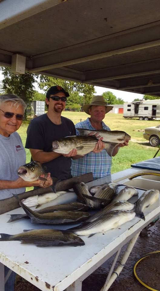 Two men are standing next to each other holding fish on a table.