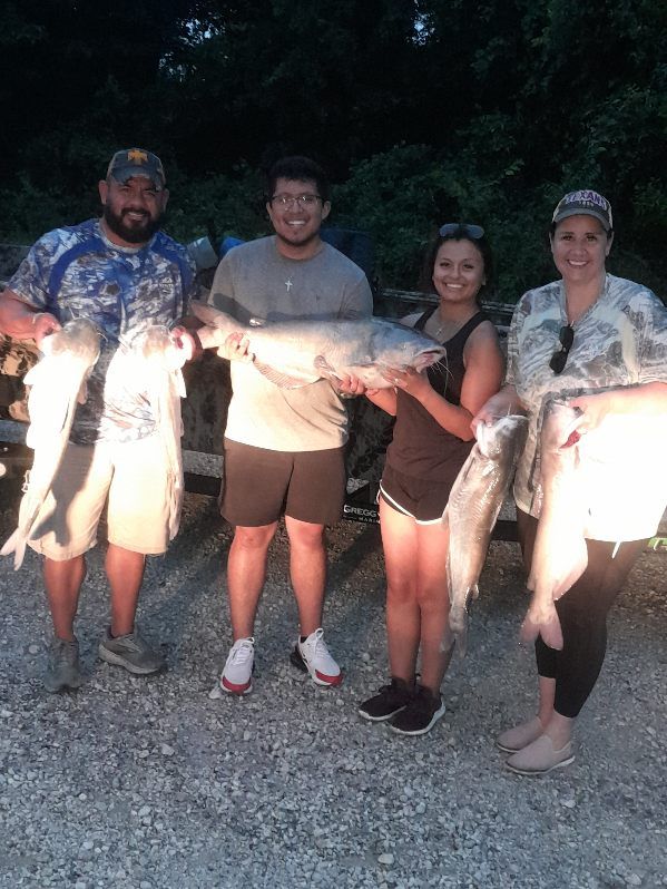 A group of people are standing next to each other holding large fish.