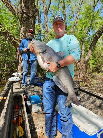 A man is holding a large catfish on a boat.