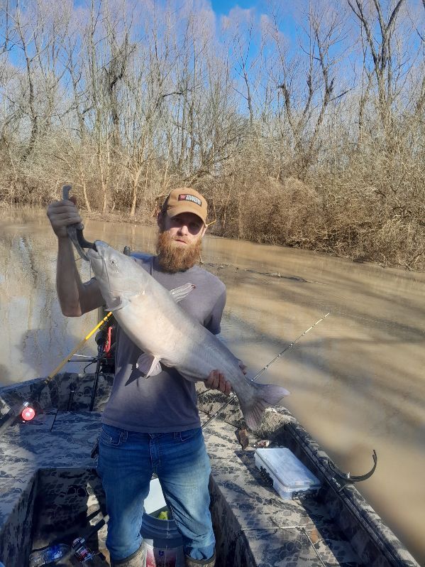 A man is standing in a boat holding a large fish.
