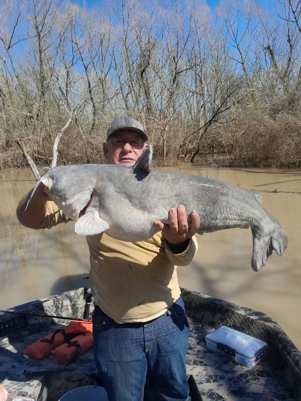 A man in a boat is holding a large fish in his hands.