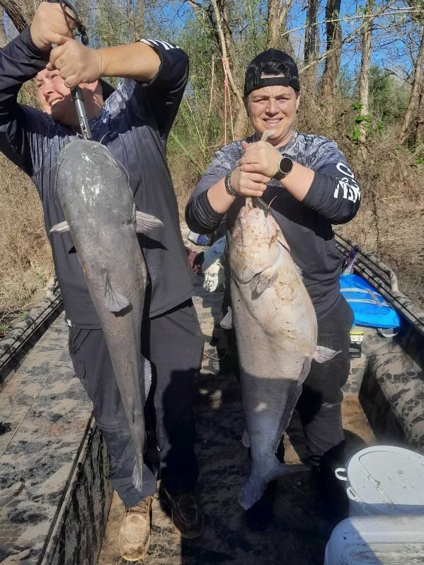 A large bass is jumping out of the water with a lure in its mouth.