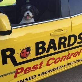 Dog in a black hood in a yellow pest control truck with “R. Bards Pest Control” lettering.