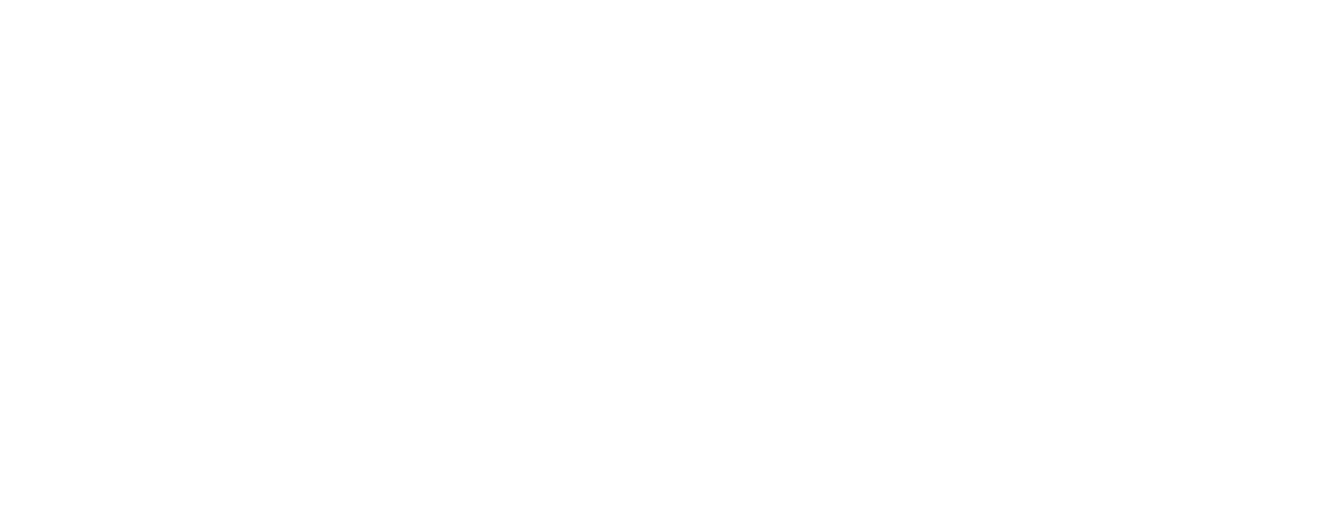 CCX Q1/21 Logo Header