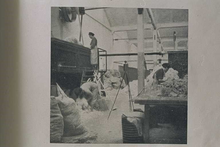 la storia di sanambiente